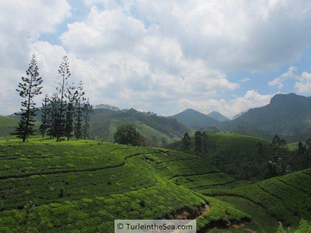 sri lanka