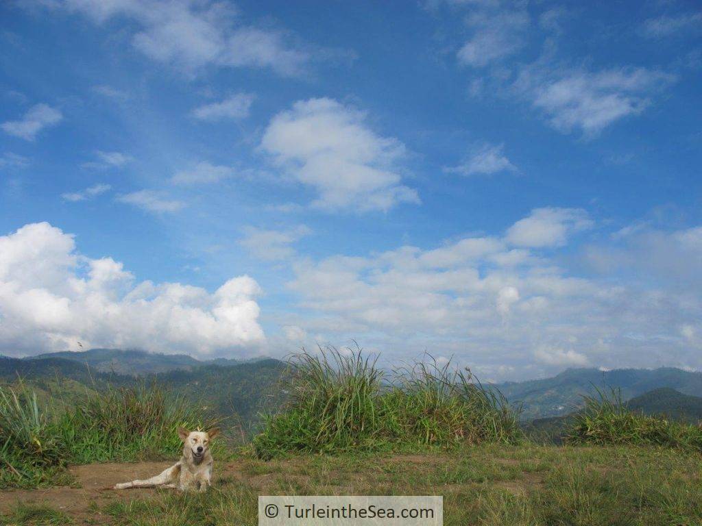 sri lanka